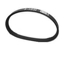 2236100549 Ремень компрессора ABAC 2236100549 фото