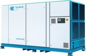 Винтовой компрессор  TAURUS 315 W 10