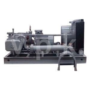 Поршневой компрессор Frosp КВД-ГС-1000 фото