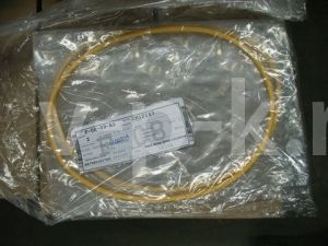 Сальник задний 10000-18400