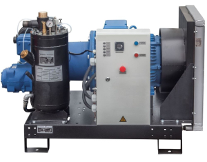 Винтовой компрессор Арсенал ЗИФ-СВЭ-10,6/0,7 без кожуха фото