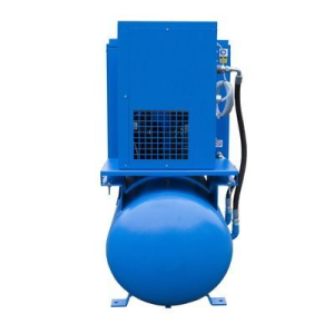 Винтовой компрессор Ekomak DMD 55 CRD 10 с осушителем фото